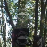 Penampakan 2 Ekor Macan Tutul Jawa Terekam Kamera di Kawasan Gunung Bromo