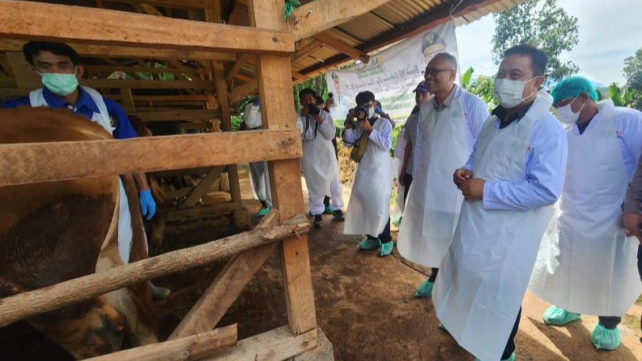 Kementan Siapkan Vaksinasi untuk Atasi PMK di Garut
            - galeri foto