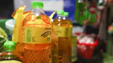 Mendag Ungkap Biang Kerok Naiknya Harga Minyak Goreng Rakyat MinyakKita