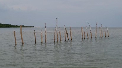 Cerita Miris Nelayan Gresik Putih Sumenep, Hasil Tangkapan Ikan Berkurang, Lahan Laut Hendak Direklamasi