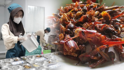 Menu Serangga Bisa Disajikan untuk Makan Bergizi Gratis, Kepala BGN: Contoh Keragaman Pangan