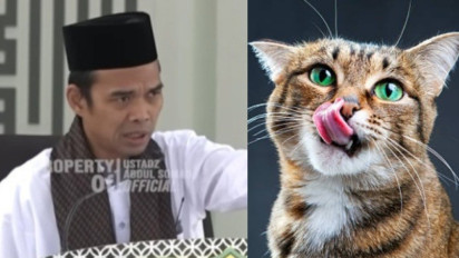 Percuma Rajin Ibadah kalau Masih Pelihara Kucing seperti ini di Rumah, Ustaz Abdul Somad Tegaskan Penyebab Masuk Neraka
