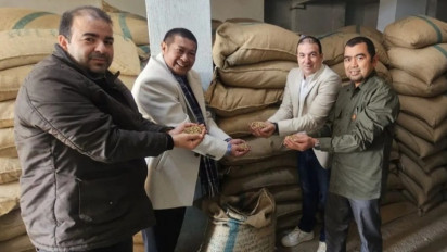 Laris Manis! 39,6 Ton Biji Kopi Robusta Asal Malang Diekspor ke Mesir