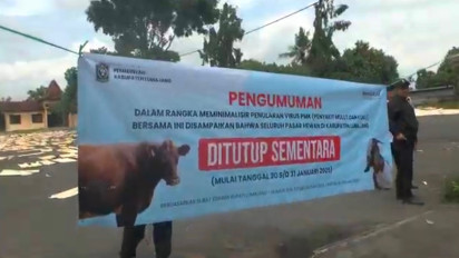 Pedagang Pasar Hewan Lumajang Keluhkan Penutupan Pasar akibat Wabah PMK
