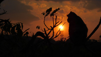 Bukan Hanya Hablum minAllah dan Hablum Minannas, Kemenag: Rasulullah Ingatkan Tugas Manusia Juga Hablum Minal 'Alam