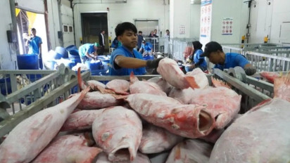 Dukung Hilirisasi Perikanan dan Makan Bergizi Gratis, KKP Siapkan Sistem Informasi Cold Storage