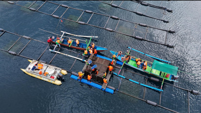 Budidaya Lobster Nasional Mulai Berkembang: PT Gajaya Aquaculture International Gelar Panen Perdana