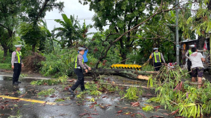 Bibit Siklon Tropis dan Gelombang Atmosfer Picu Angin Kencang di NTB