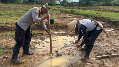 Tak Hanya Menanam untuk Ketahanan Pangan, Kapolres Palopo bersama Petani Juga Lakukan Perawatan Tanaman Jagung