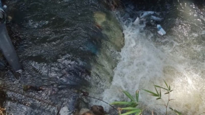 Petani Mukomuko Galang Dana Perbaiki Irigasi yang Jebol