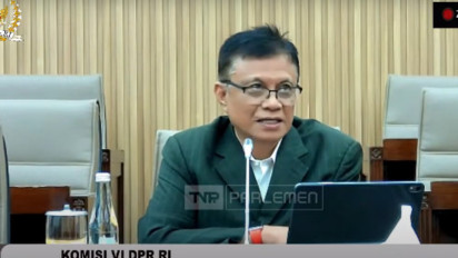 Pakar Nilai Danantara Tak Bisa Disamakan dengan BUMN: Harus Ada Aturan yang Jelas