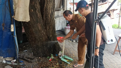 Ribuan Ulat Bulu Serang Lapak Pedagang Kaki Lima di Mojokerto, Aktivitas Terganggu