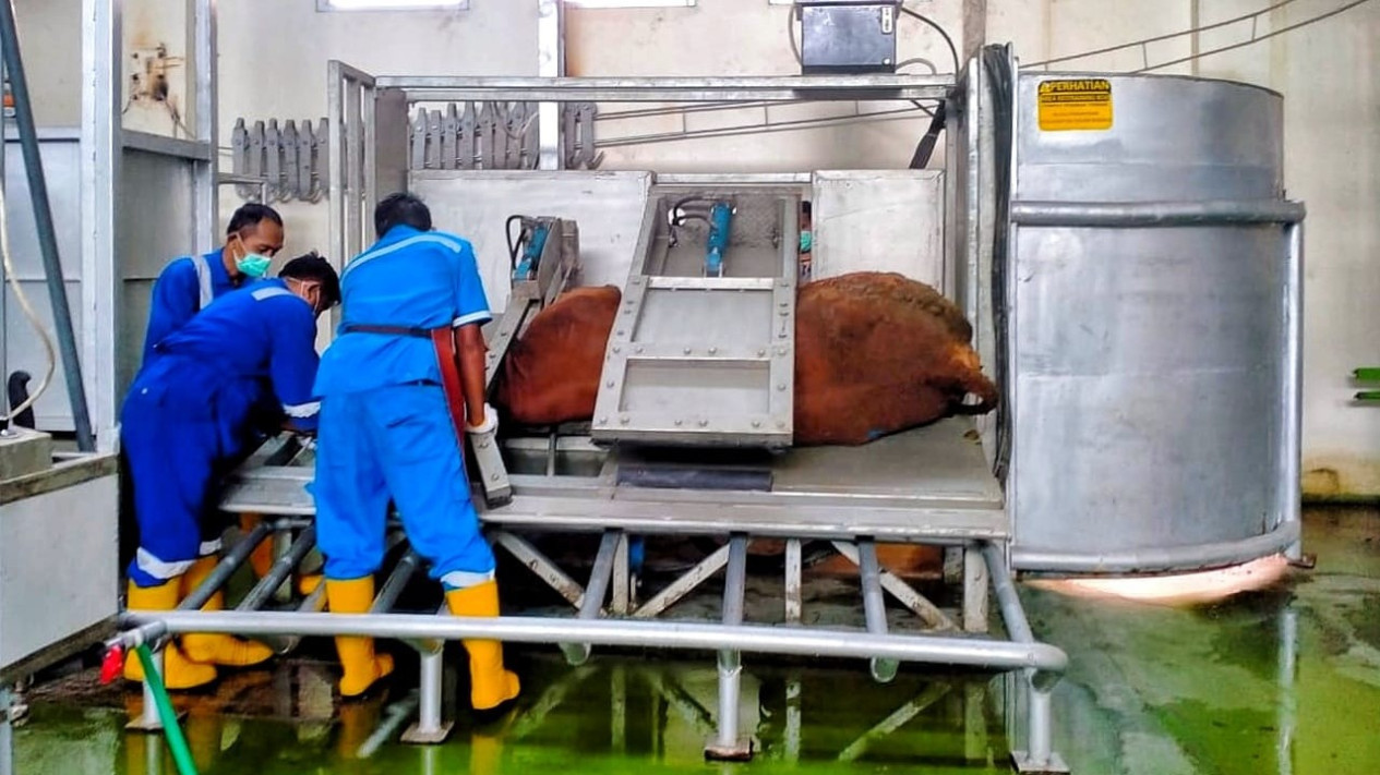 Dinas Pangan dan Pertanian Sidoarjo Temukan Sebagian Besar Daging yang Dijual Merupakan Daging Gelonggongan 
            - galeri foto