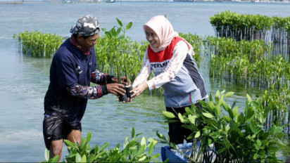 Seratus Ribu Mangrove untuk Pesisir yang Hijau
