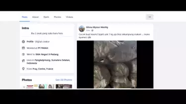 Viral aksi pegawai PT Timah yang mengolok-olok pegawai honorer pengguna BPJS.