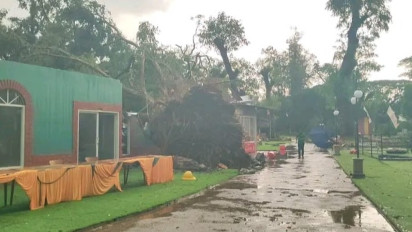 Angin Puting Beliung Terjang Kawasan Wisata Tamris Park Maospati, Pohon Besar Timpa Bangunan