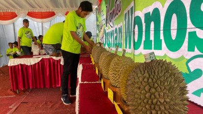 Puluhan Jenis Durian Lokal Adu Kualitas di Kontes Durian Wonosalam Jombang 2025