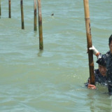 Aparat Didesak Bongkar Dalang Kasus Pagar Laut, Dewi Kartika: Jangan Berhenti di Aktor Kecil