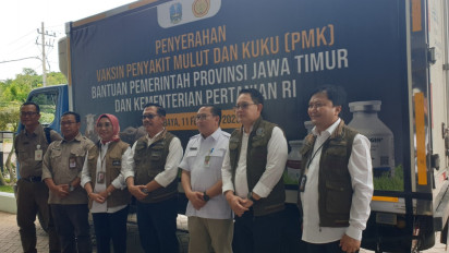 Kementan Distribusikan 652 Ribu Dosis Vaksin PMK Tahap 2 ke Jawa Timur, Didanai APBN dan APBD