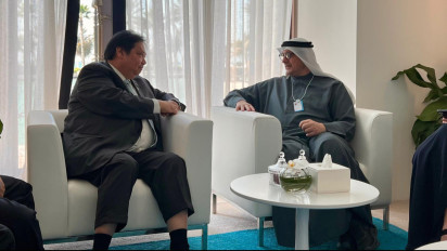 Airlangga Dorong Masdar Tingkatkan Kerja Sama Energi Terbarukan di Indonesia