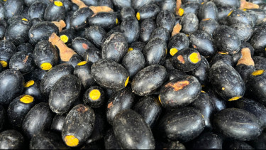 Bea Cukai Kawal Ekspor Puluhan Ton Buah Dabai Khas Kalimantan ke Malaysia