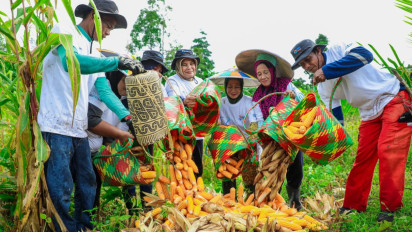 Program BRI Menanam - Grow & Green di Tanjung Prepat Berau Serap Karbon 2.987 CO2e (Kg) per Tahun dan Dorong Ekonomi Masyarakat