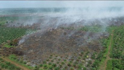 BPBD Aceh Barat Sebut Luas Lahan Terbakar di Daerah Itu Mencapai 7,5 Hektare