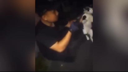 Sadis! Gegara Terganggu Saat Makan, Seorang Satpam di Kota Bandung Tembak Mati Kucing