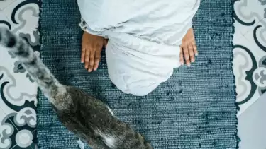 Ilustrasi kucing yang lewat saat sedang sholat