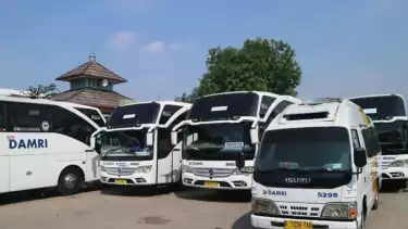 Ilustrasi Bus DAMRI
