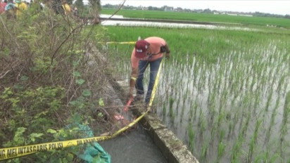 Identitas Korban Mutilasi Belum Terungkap, RSUD Jombang Batasi Waktu Penguburan hingga 30 Hari