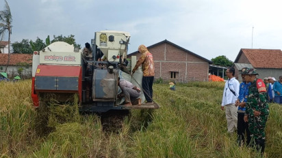 Mulai Serap Gabah Petani di Pemalang, Bulog Patok Harga 6.500 Per Kilogram
