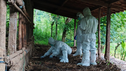 Respons Sigap Kementan Tangani Kasus Gejala Antraks di Gunung Kidul, Ini Langkah yang Dilakukan