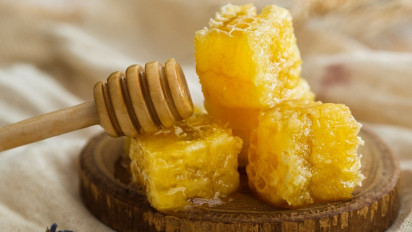 Musim Hujan Rentan Sakit? dr. Zaidul Akbar Ungkap Rahasia Bahan Alami untuk Jaga Imunitas Tubuh