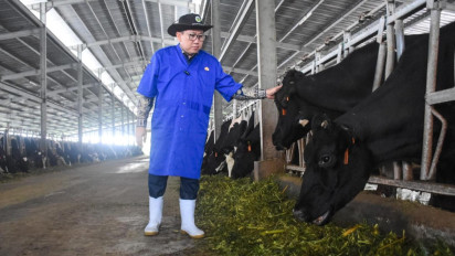 Pasar Ternak Mulai Beroperasi Kembali, PMK Melandai