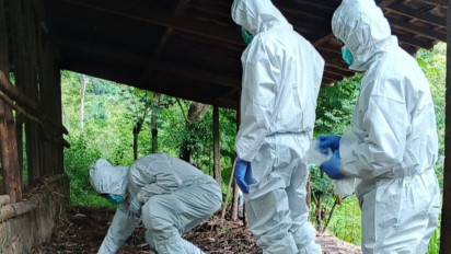 Kementan Investigasi Kasus Gejala Antraks di Gunung Kidul