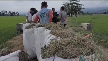 Bulog Wajib Serap Panen Petani Tanpa Batas: DPR Soroti Kepastian Kebijakan