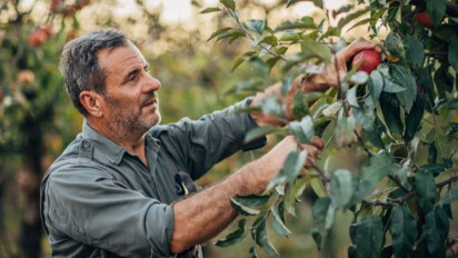 Apakah Boleh Ambil Buah dari Pohon Tetangga yang Dahannya Masuk ke Teras Rumah Anda, Simak Penjelasan Ustaz Adi Hidayat