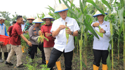Tingkatakan Produktifitas Ketahanan Pangan, Lapas Kelas I Surabaya Sukses Panen Dua Ton Jagung