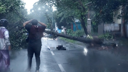 Pelajar di Nganjuk Tewas Tertimpa Pohon Akibat Hujan Disertai Angin Kencang