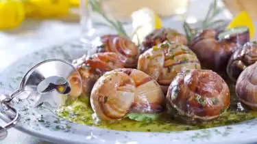 Ilustrasi menu makanan hewan keong atau bekicot