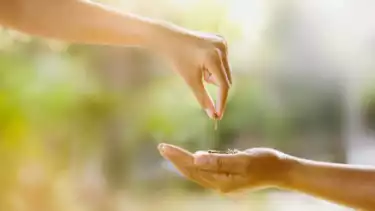 Ilustrasi sedekah harta