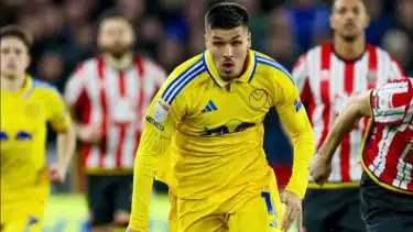 Striker Leeds United di Liga Inggris, Joel Piroe