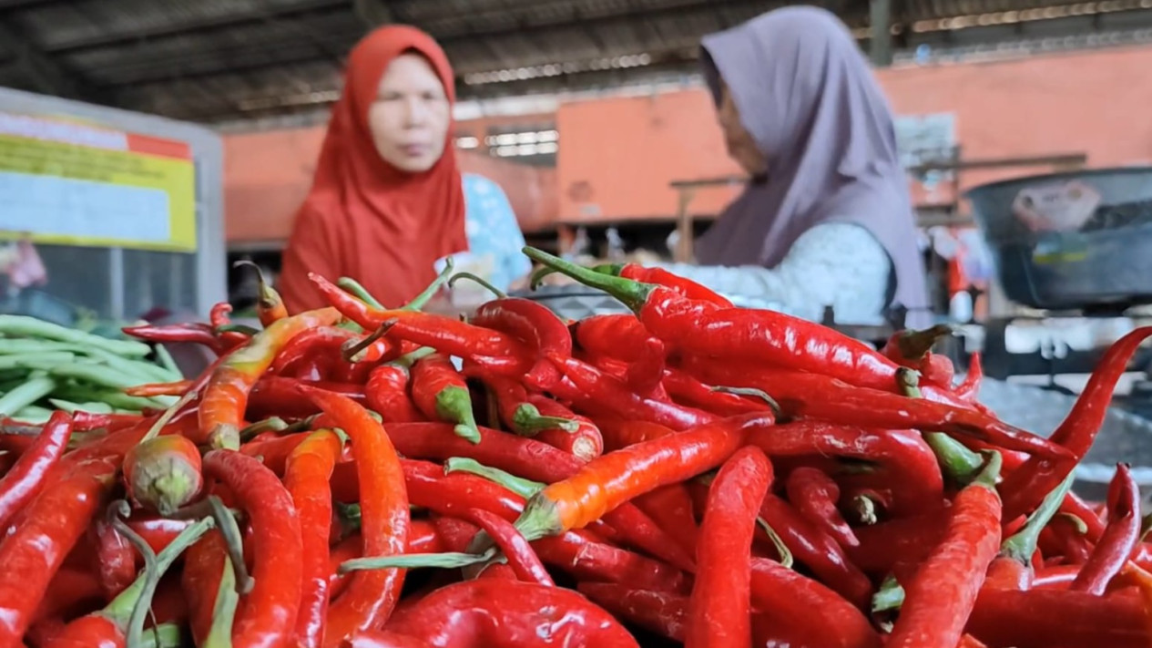 Jelang Ramadhan, Harga Cabe Rawit di Pasar Kronong Tembus Seratus Ribu per Kilogram
            - galeri foto