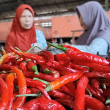 Jelang Ramadhan, Harga Cabe Rawit di Pasar Kronong Tembus Seratus Ribu per Kilogram