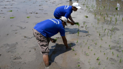 Dukung Ketahanan Pangan, Dua Hektar Lahan Lapas Banyuwangi Ditanami Padi