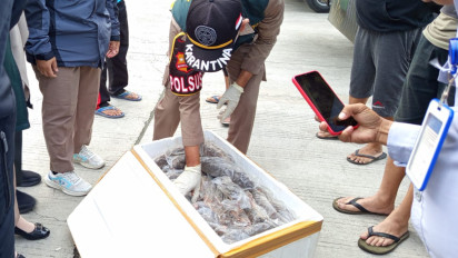 Karantina Gorontalo Tahan Puluhan Daging Tikus, Kelelawar dan Musang