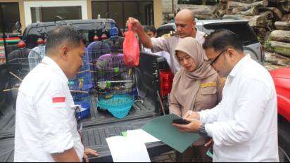 Badan Karantina Gagalkan Penyelundupan Satwa Liar dari Kalimantan saat Turun di Pelabuhan Tanjung Emas