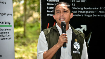 Menhut Raja Juli Antoni: Perdagangan Karbon Sektor Kehutanan Siap Diresmikan