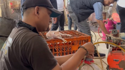 Pria Jual Ayam Gelonggongan di Pasar Kebayoran Lama Ditangkap Polisi, 200 Ekor Terjual Per Hari